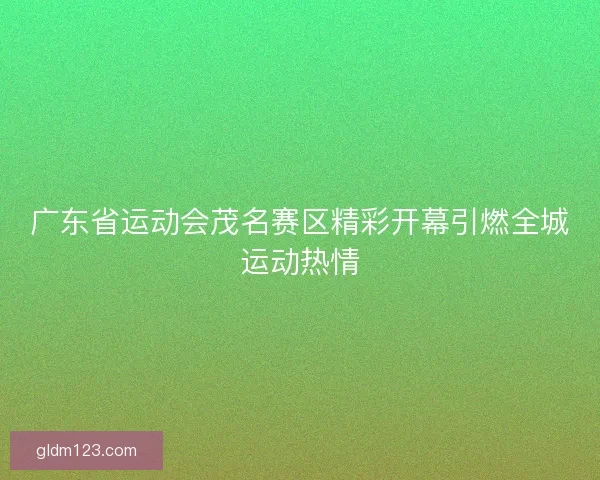 广东省运动会茂名赛区精彩开幕引燃全城运动热情 广东省运动会茂名赛区精彩开幕引燃全城运动热情