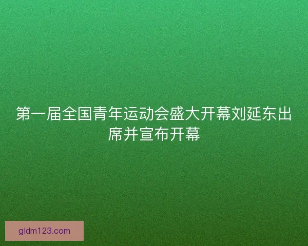 第一届全国青年运动会盛大开幕刘延东出席并宣布开幕