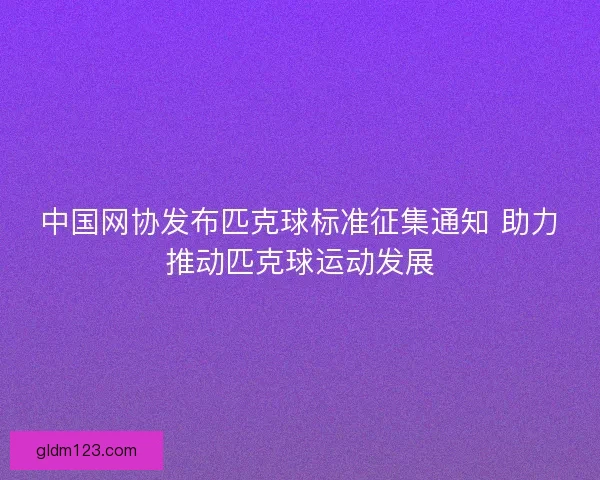 中国网协发布匹克球标准征集通知 助力推动匹克球运动发展